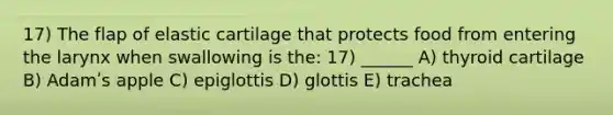 17) The flap of elastic cartilage that protects food from entering the larynx when swallowing is the: 17) ______ A) thyroid cartilage B) Adamʹs apple C) epiglottis D) glottis E) trachea