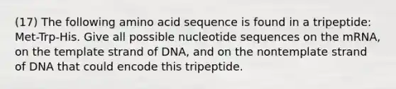 (17) The following amino acid sequence is found in a tripeptide: Met-Trp-His. Give all possible nucleotide sequences on the mRNA, on the template strand of DNA, and on the nontemplate strand of DNA that could encode this tripeptide.