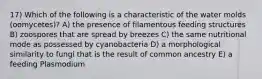 17) Which of the following is a characteristic of the water molds (oomycetes)? A) the presence of filamentous feeding structures B) zoospores that are spread by breezes C) the same nutritional mode as possessed by cyanobacteria D) a morphological similarity to fungi that is the result of common ancestry E) a feeding Plasmodium