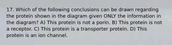 17. Which of the following conclusions can be drawn regarding the protein shown in the diagram given ONLY the information in the diagram? A) This protein is not a porin. B) This protein is not a receptor. C) This protein is a transporter protein. D) This protein is an ion channel.