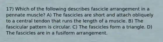 17) Which of the following describes fascicle arrangement in a pennate muscle? A) The fascicles are short and attach obliquely to a central tendon that runs the length of a muscle. B) The fascicular pattern is circular. C) The fascicles form a triangle. D) The fascicles are in a fusiform arrangement.