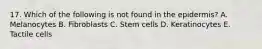 17. Which of the following is not found in the epidermis? A. Melanocytes B. Fibroblasts C. Stem cells D. Keratinocytes E. Tactile cells