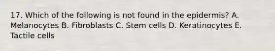 17. Which of the following is not found in the epidermis? A. Melanocytes B. Fibroblasts C. Stem cells D. Keratinocytes E. Tactile cells