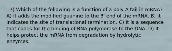 17) Which of the following is a function of a poly-A tail in mRNA? A) It adds the modified guanine to the 3' end of the mRNA. B) It indicates the site of translational termination. C) It is a sequence that codes for the binding of RNA polymerase to the DNA. D) It helps protect the mRNA from degradation by hydrolytic enzymes.