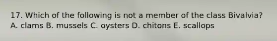 17. Which of the following is not a member of the class Bivalvia? A. clams B. mussels C. oysters D. chitons E. scallops