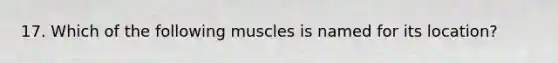 17. Which of the following muscles is named for its location?