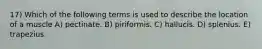 17) Which of the following terms is used to describe the location of a muscle A) pectinate. B) piriformis. C) hallucis. D) splenius. E) trapezius.