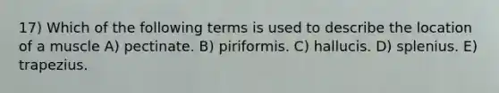 17) Which of the following terms is used to describe the location of a muscle A) pectinate. B) piriformis. C) hallucis. D) splenius. E) trapezius.