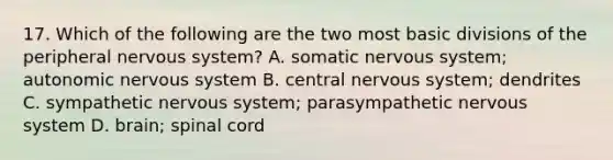 17. Which of the following are the two most basic divisions of the peripheral nervous system? A. somatic nervous system; autonomic nervous system B. central nervous system; dendrites C. sympathetic nervous system; parasympathetic nervous system D. brain; spinal cord