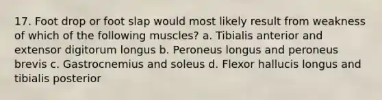 17. Foot drop or foot slap would most likely result from weakness of which of the following muscles? a. Tibialis anterior and extensor digitorum longus b. Peroneus longus and peroneus brevis c. Gastrocnemius and soleus d. Flexor hallucis longus and tibialis posterior