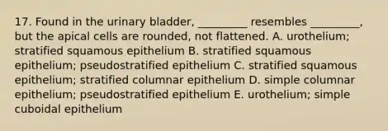 17. Found in the urinary bladder, _________ resembles _________, but the apical cells are rounded, not flattened. A. urothelium; stratified squamous epithelium B. stratified squamous epithelium; pseudostratified epithelium C. stratified squamous epithelium; stratified columnar epithelium D. simple columnar epithelium; pseudostratified epithelium E. urothelium; simple cuboidal epithelium