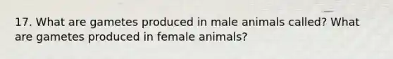 17. What are gametes produced in male animals called? What are gametes produced in female animals?