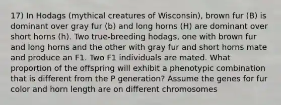 17) In Hodags (mythical creatures of Wisconsin), brown fur (B) is dominant over gray fur (b) and long horns (H) are dominant over short horns (h). Two true-breeding hodags, one with brown fur and long horns and the other with gray fur and short horns mate and produce an F1. Two F1 individuals are mated. What proportion of the offspring will exhibit a phenotypic combination that is different from the P generation? Assume the genes for fur color and horn length are on different chromosomes