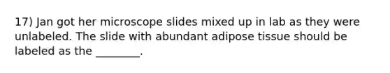 17) Jan got her microscope slides mixed up in lab as they were unlabeled. The slide with abundant adipose tissue should be labeled as the ________.