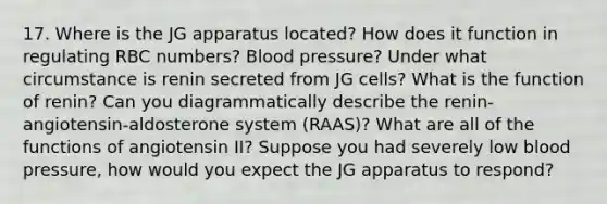 17. Where is the JG apparatus located? How does it function in regulating RBC numbers? Blood pressure? Under what circumstance is renin secreted from JG cells? What is the function of renin? Can you diagrammatically describe the renin-angiotensin-aldosterone system (RAAS)? What are all of the functions of angiotensin II? Suppose you had severely low blood pressure, how would you expect the JG apparatus to respond?