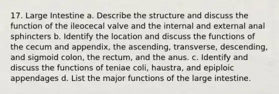 17. Large Intestine a. Describe the structure and discuss the function of the ileocecal valve and the internal and external anal sphincters b. Identify the location and discuss the functions of the cecum and appendix, the ascending, transverse, descending, and sigmoid colon, the rectum, and the anus. c. Identify and discuss the functions of teniae coli, haustra, and epiploic appendages d. List the major functions of the large intestine.