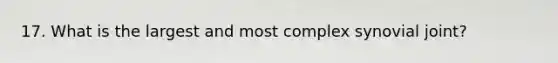 17. What is the largest and most complex synovial joint?