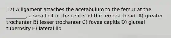 17) A ligament attaches the acetabulum to the femur at the ________, a small pit in the center of the femoral head. A) greater trochanter B) lesser trochanter C) fovea capitis D) gluteal tuberosity E) lateral lip