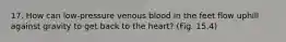 17. How can low-pressure venous blood in the feet flow uphill against gravity to get back to the heart? (Fig. 15.4)