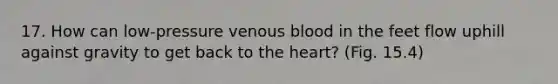 17. How can low-pressure venous blood in the feet flow uphill against gravity to get back to the heart? (Fig. 15.4)