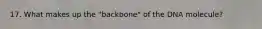 17. What makes up the "backbone" of the DNA molecule?