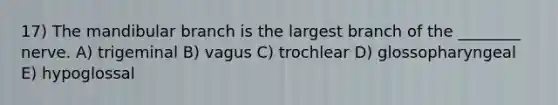 17) The mandibular branch is the largest branch of the ________ nerve. A) trigeminal B) vagus C) trochlear D) glossopharyngeal E) hypoglossal