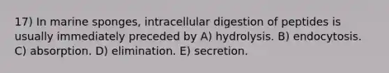 17) In marine sponges, intracellular digestion of peptides is usually immediately preceded by A) hydrolysis. B) endocytosis. C) absorption. D) elimination. E) secretion.