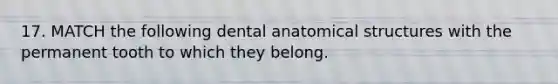 17. MATCH the following dental anatomical structures with the permanent tooth to which they belong.