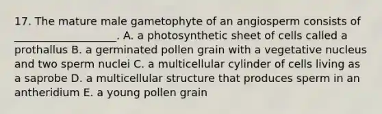 17. The mature male gametophyte of an angiosperm consists of ___________________. A. a photosynthetic sheet of cells called a prothallus B. a germinated pollen grain with a vegetative nucleus and two sperm nuclei C. a multicellular cylinder of cells living as a saprobe D. a multicellular structure that produces sperm in an antheridium E. a young pollen grain