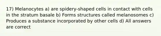 17) Melanocytes a) are spidery-shaped cells in contact with cells in the stratum basale b) Forms structures called melanosomes c) Produces a substance incorporated by other cells d) All answers are correct