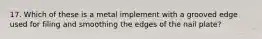 17. Which of these is a metal implement with a grooved edge used for filing and smoothing the edges of the nail plate?