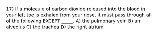 17) If a molecule of carbon dioxide released into the blood in your left toe is exhaled from your nose, it must pass through all of the following EXCEPT _____. A) the pulmonary vein B) an alveolus C) the trachea D) the right atrium