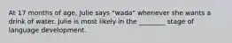 At 17 months of age, Julie says "wada" whenever she wants a drink of water. Julie is most likely in the ________ stage of language development.