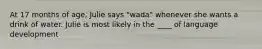 At 17 months of age, Julie says "wada" whenever she wants a drink of water. Julie is most likely in the ____ of language development
