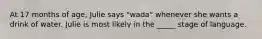 At 17 months of age, Julie says "wada" whenever she wants a drink of water. Julie is most likely in the _____ stage of language.