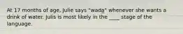 At 17 months of age, Julie says "wada" whenever she wants a drink of water. Julis is most likely in the ____ stage of the language.