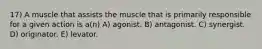 17) A muscle that assists the muscle that is primarily responsible for a given action is a(n) A) agonist. B) antagonist. C) synergist. D) originator. E) levator.