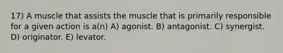 17) A muscle that assists the muscle that is primarily responsible for a given action is a(n) A) agonist. B) antagonist. C) synergist. D) originator. E) levator.