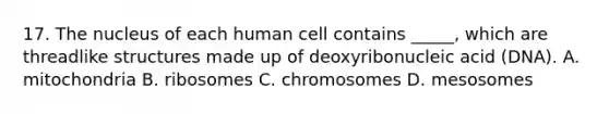 17. The nucleus of each human cell contains _____, which are threadlike structures made up of deoxyribonucleic acid (DNA). A. mitochondria B. ribosomes C. chromosomes D. mesosomes