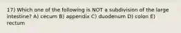 17) Which one of the following is NOT a subdivision of the large intestine? A) cecum B) appendix C) duodenum D) colon E) rectum
