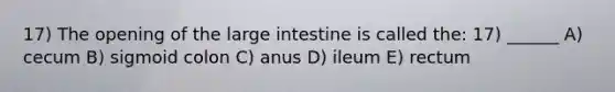 17) The opening of the <a href='https://www.questionai.com/knowledge/kGQjby07OK-large-intestine' class='anchor-knowledge'>large intestine</a> is called the: 17) ______ A) cecum B) sigmoid colon C) anus D) ileum E) rectum