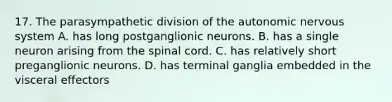 17. The parasympathetic division of the autonomic nervous system A. has long postganglionic neurons. B. has a single neuron arising from the spinal cord. C. has relatively short preganglionic neurons. D. has terminal ganglia embedded in the visceral effectors