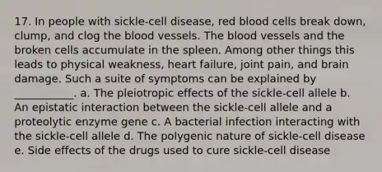 17. In people with sickle-cell disease, red blood cells break down, clump, and clog the blood vessels. The blood vessels and the broken cells accumulate in the spleen. Among other things this leads to physical weakness, heart failure, joint pain, and brain damage. Such a suite of symptoms can be explained by ___________. a. The pleiotropic effects of the sickle-cell allele b. An epistatic interaction between the sickle-cell allele and a proteolytic enzyme gene c. A bacterial infection interacting with the sickle-cell allele d. The polygenic nature of sickle-cell disease e. Side effects of the drugs used to cure sickle-cell disease