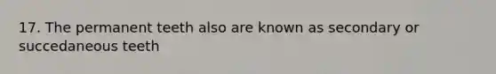 17. The permanent teeth also are known as secondary or succedaneous teeth