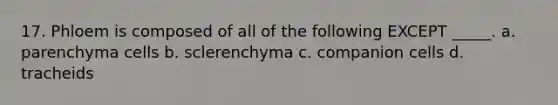 17. Phloem is composed of all of the following EXCEPT _____. a. parenchyma cells b. sclerenchyma c. companion cells d. tracheids