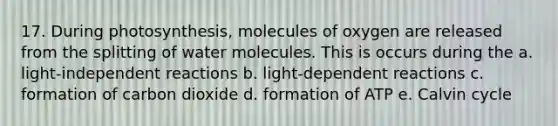 17. During photosynthesis, molecules of oxygen are released from the splitting of water molecules. This is occurs during the a. light-independent reactions b. light-dependent reactions c. formation of carbon dioxide d. formation of ATP e. Calvin cycle