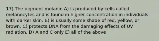 17) The pigment melanin A) is produced by cells called melanocytes and is found in higher concentration in individuals with darker skin. B) is usually some shade of red, yellow, or brown. C) protects DNA from the damaging effects of UV radiation. D) A and C only E) all of the above