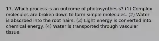 17. Which process is an outcome of photosynthesis? (1) Complex molecules are broken down to form simple molecules. (2) Water is absorbed into the root hairs. (3) Light energy is converted into chemical energy. (4) Water is transported through vascular tissue.