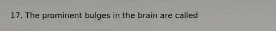 17. The prominent bulges in the brain are called