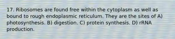 17. Ribosomes are found free within the cytoplasm as well as bound to rough endoplasmic reticulum. They are the sites of A) photosynthesis. B) digestion. C) protein synthesis. D) rRNA production.